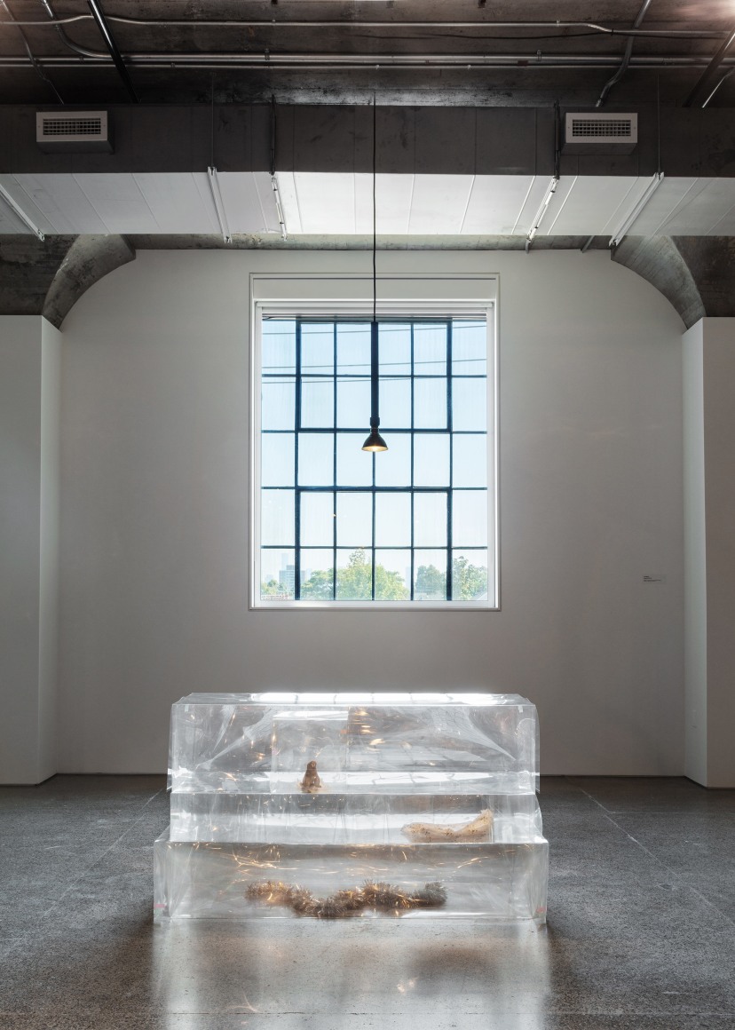 Liz Magor, The Separation