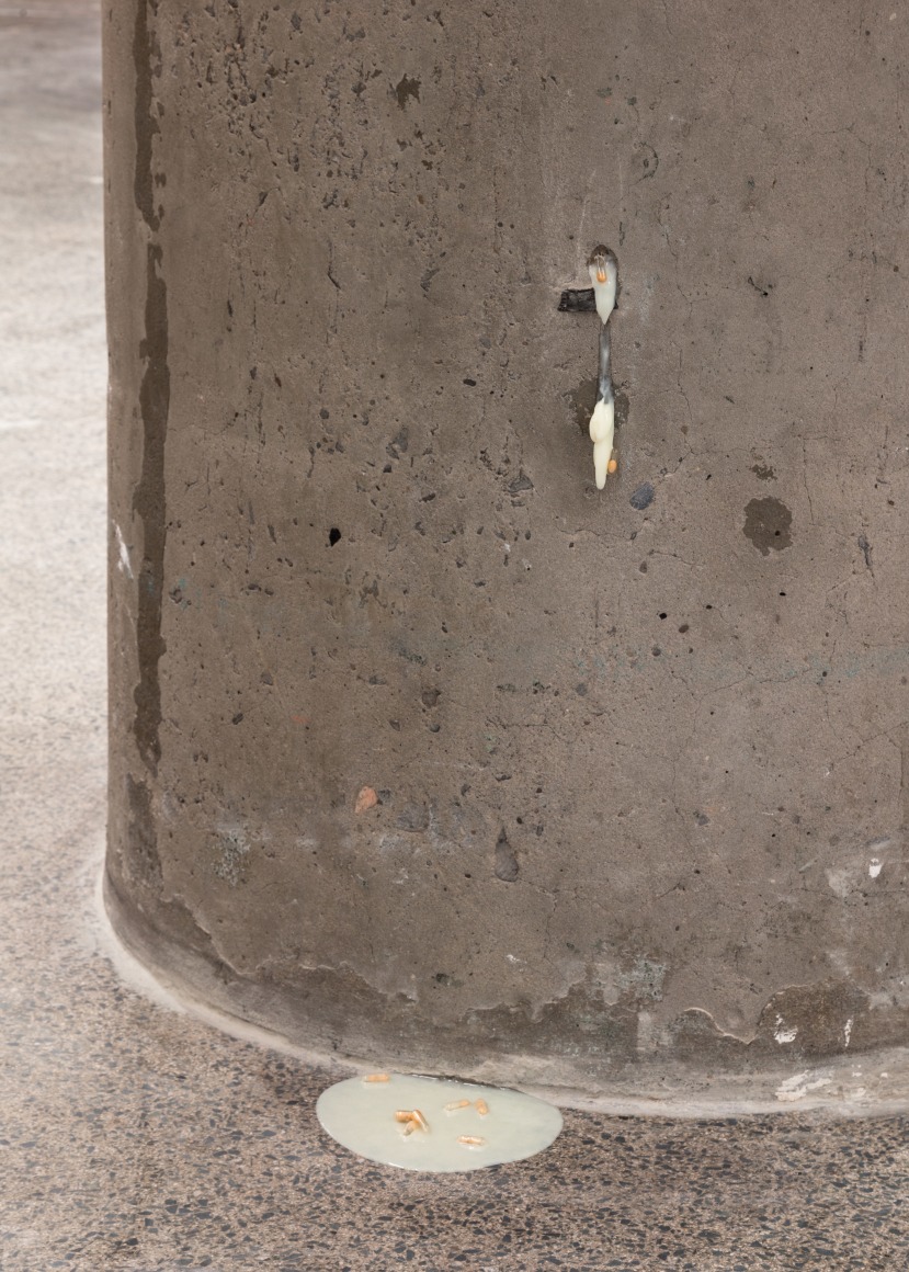 Jes Fan, Greater Toronto Art 2024