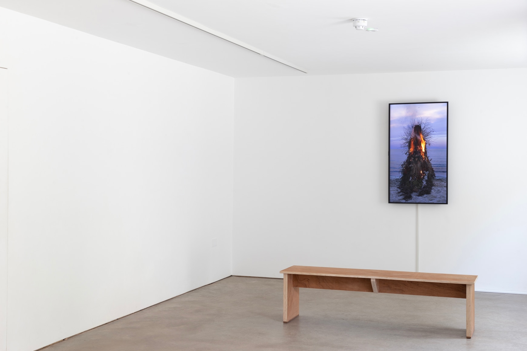 Chiara Camoni,&nbsp;murmur, buzz, hiss and rub