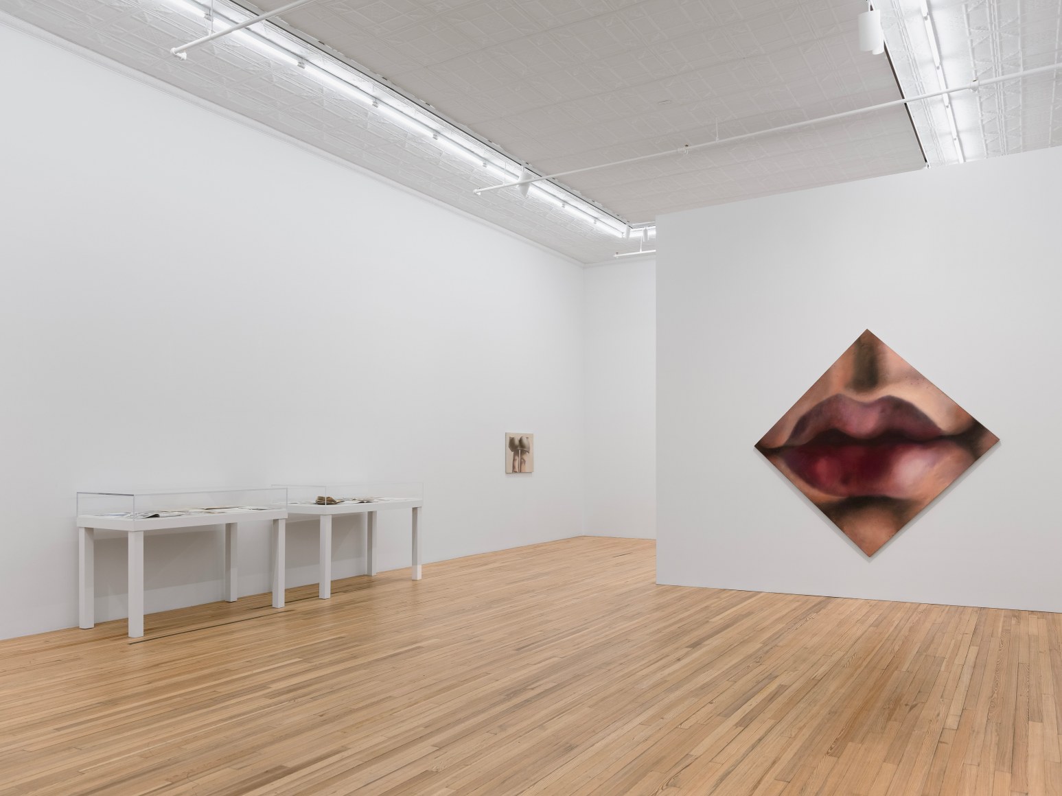 Harold Stevenson April 29 - May 31, 2025, Andrew Kreps Gallery, 22 Cortlandt Alley, New York