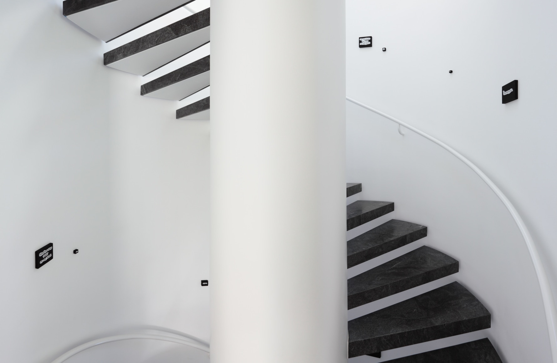 Ricci Albenda, The quick brown fox jumps over the lazy dog