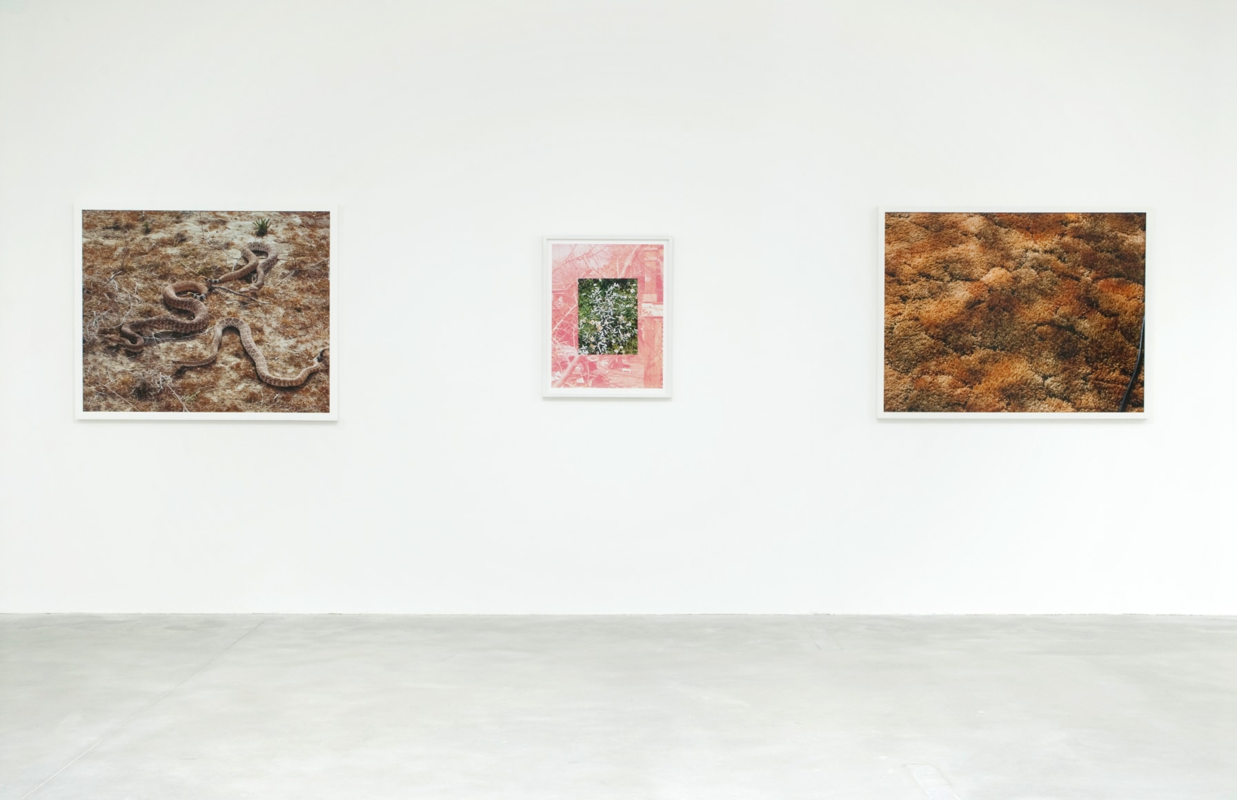 Roe Ethridge April 21 - September 2, 2012, Le Consortium, Dijon, France