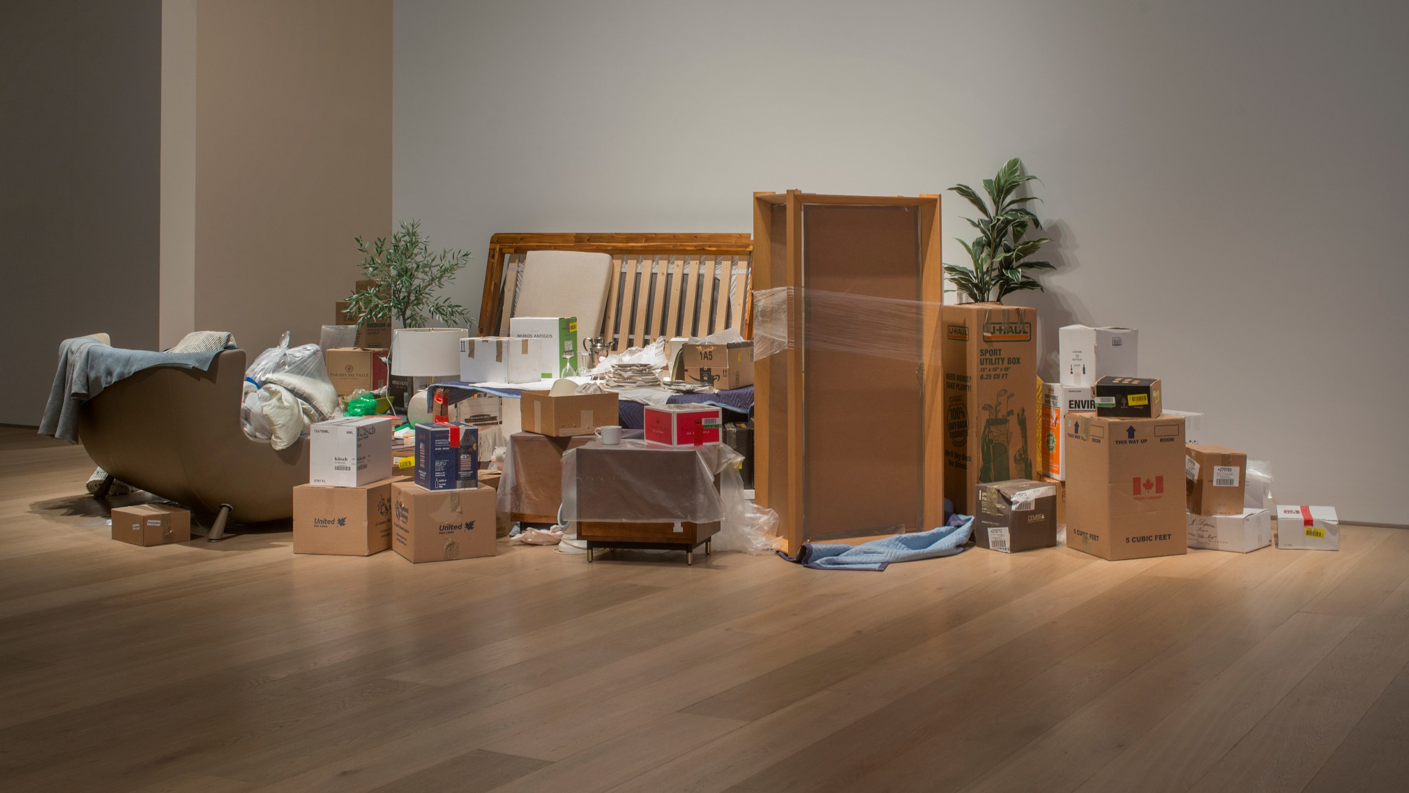 Liz Magor, One Bedroom Apartment