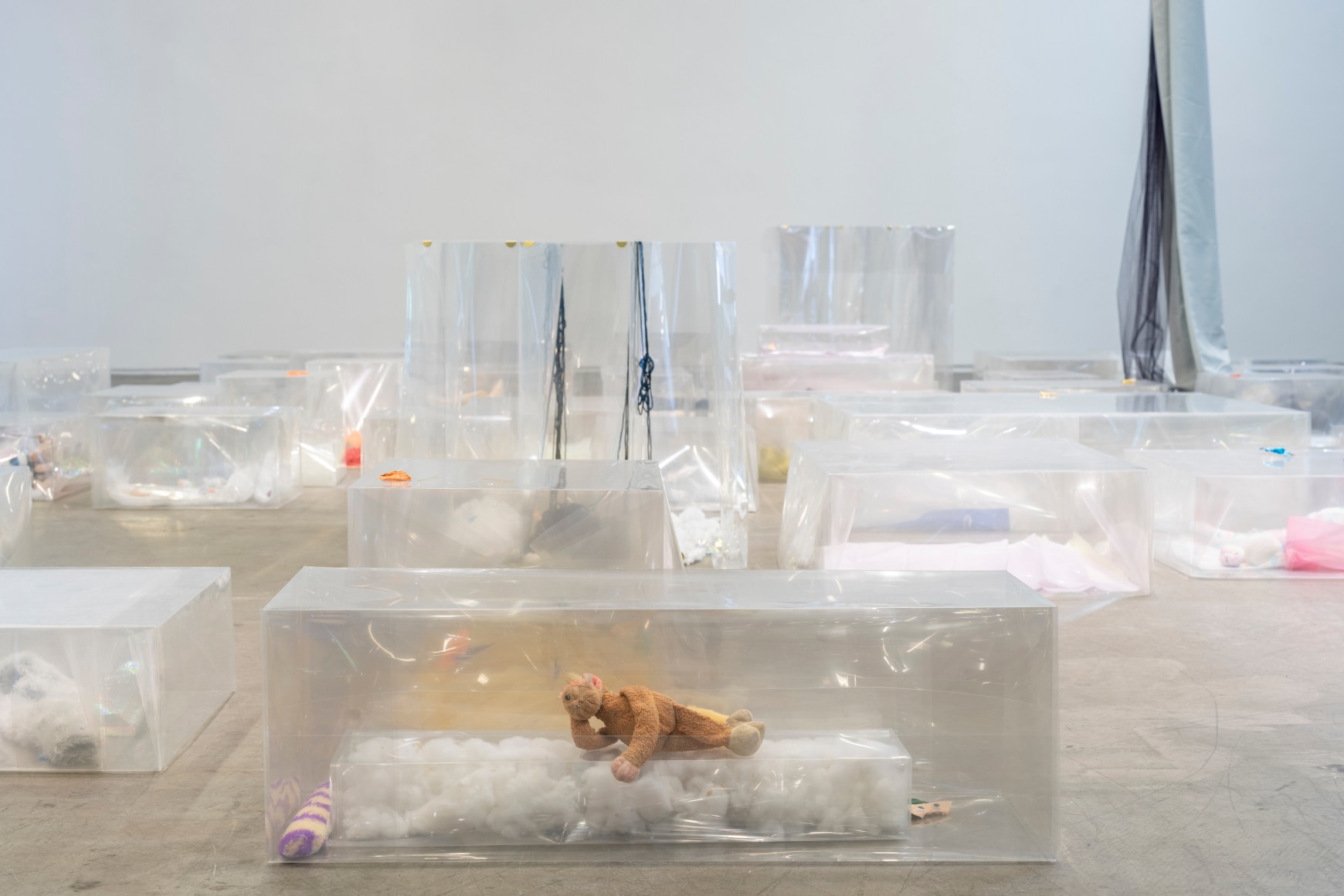 Liz Magor, The Rise and The Fall