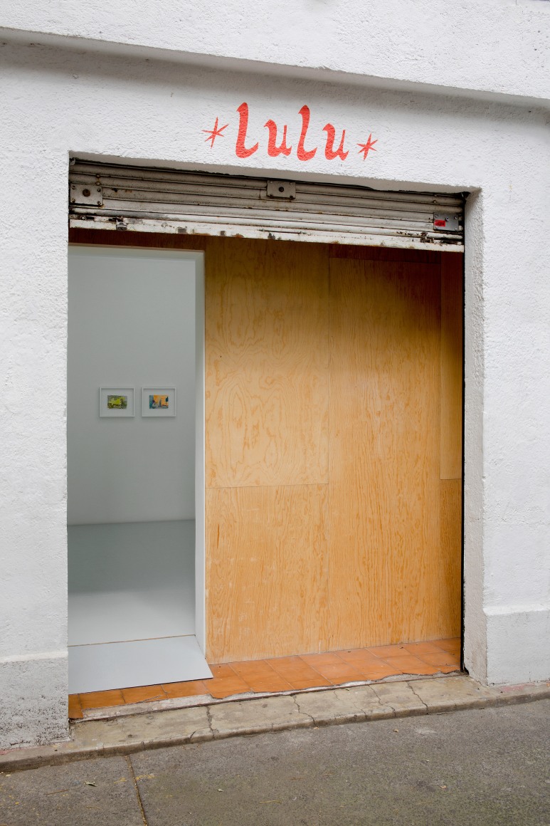 Hayley Tompkins December 10, 2016 - January 28, 2017, Lulu, Mexico City