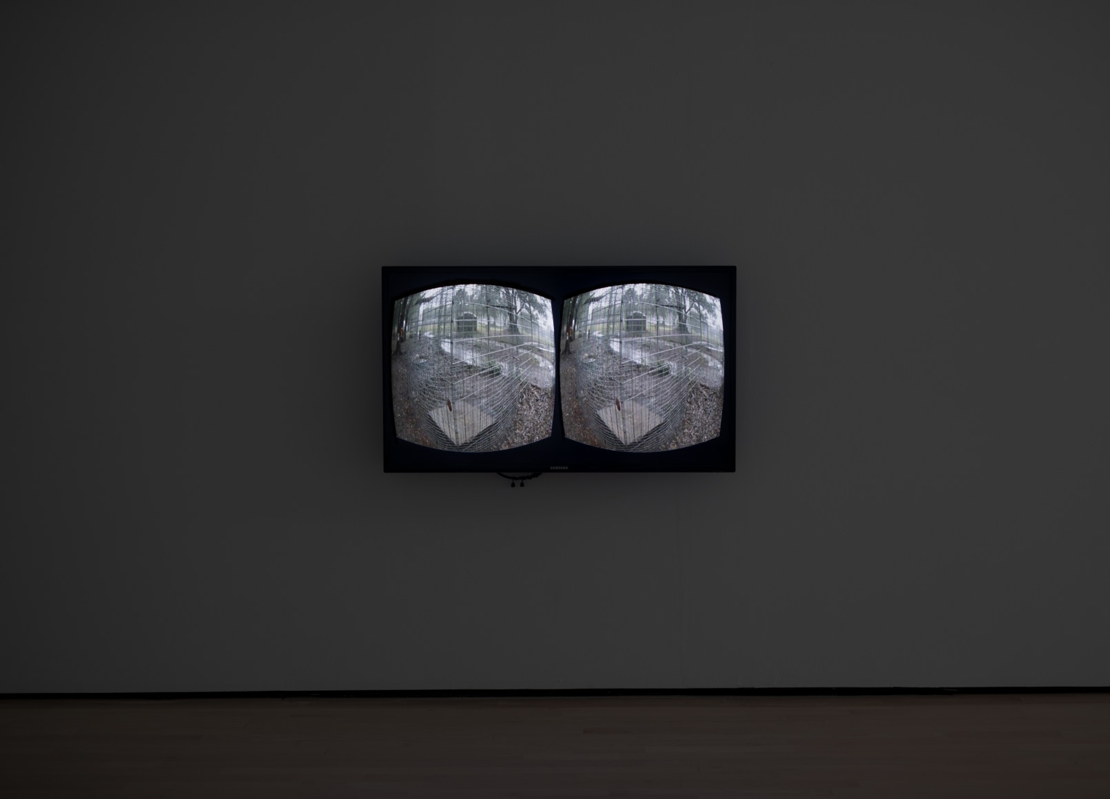 Michael E. Smith, Field Station: Michael E. Smith