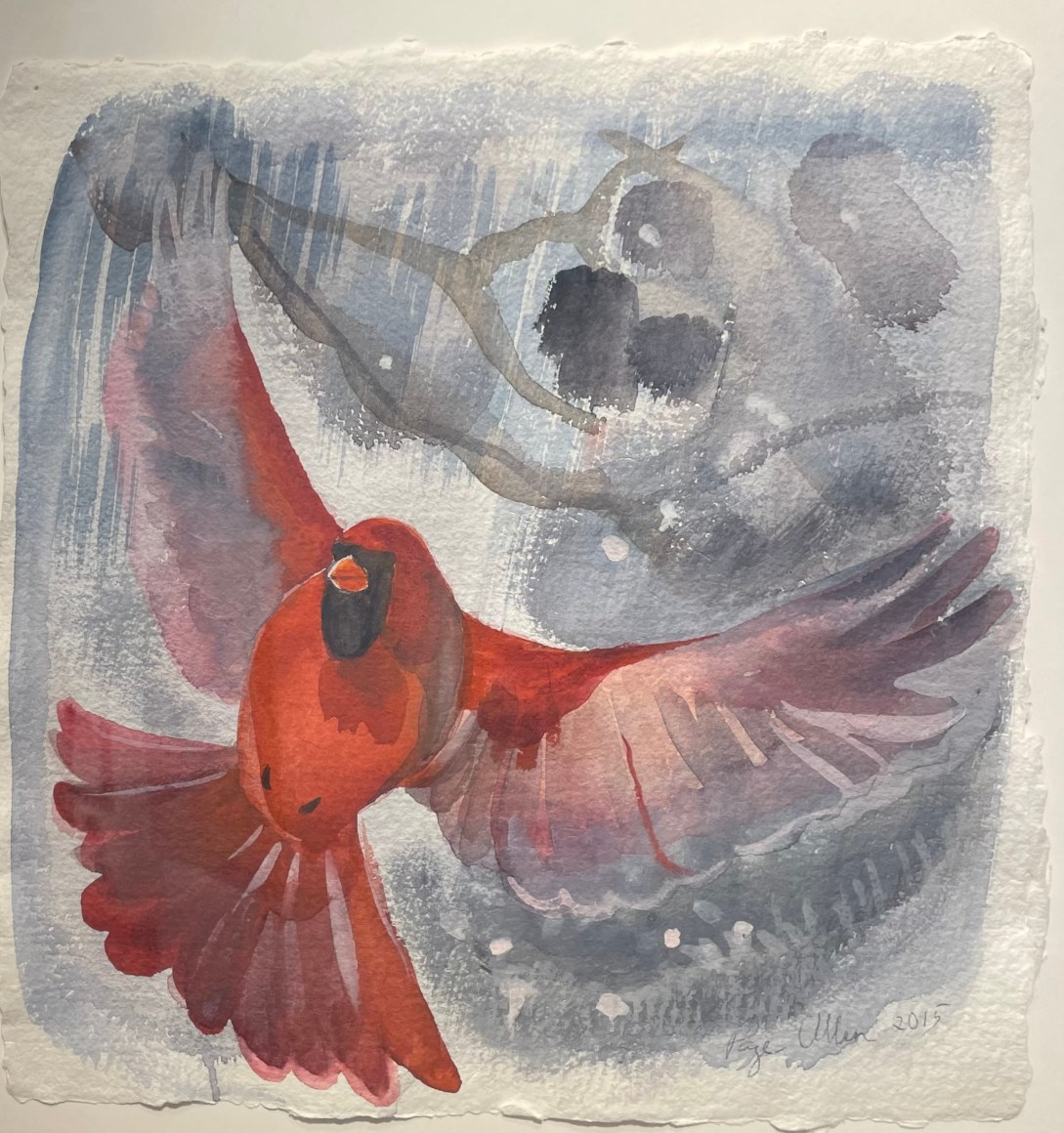 Winter Cardinal Landing, 2015, Watercolor on paper