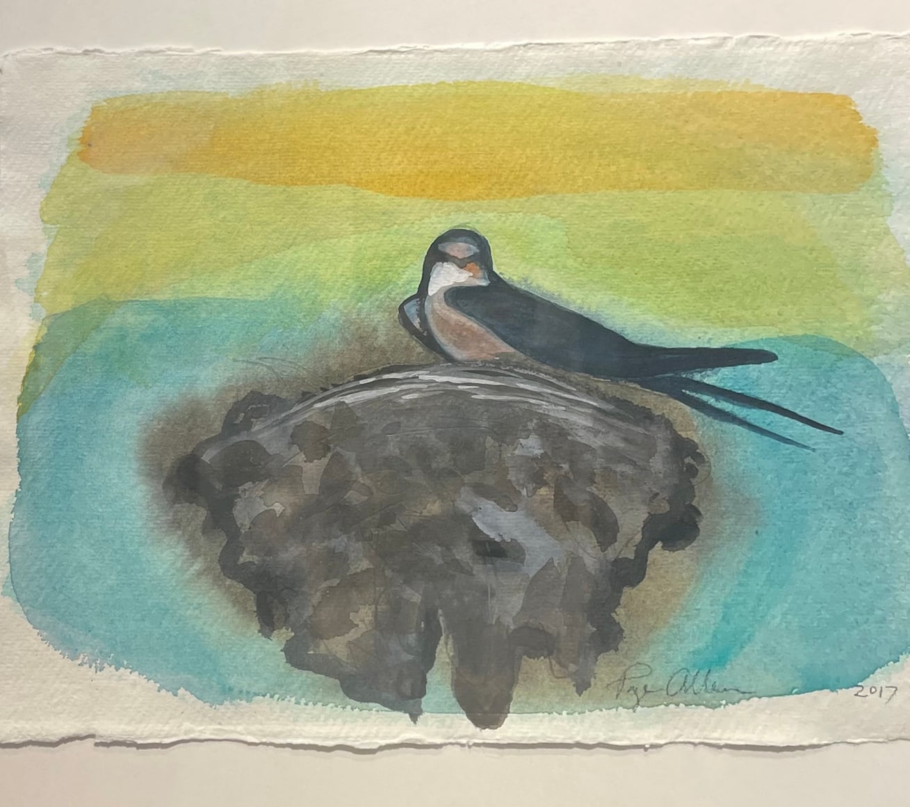 Swallows of Summer 3, 2017, Watercolor on paper