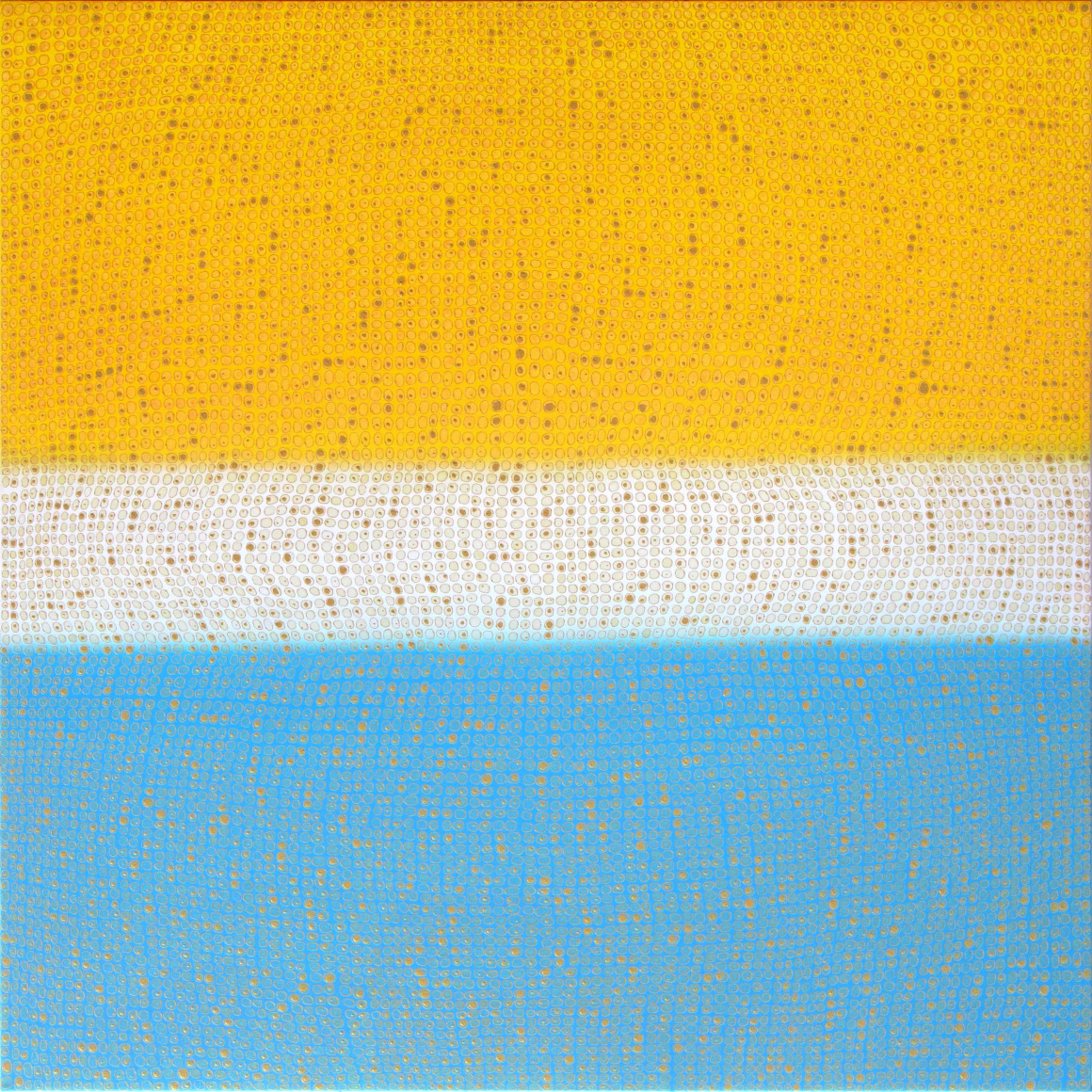 Double Plain Painting, 2017, Acrylic on canvas over board