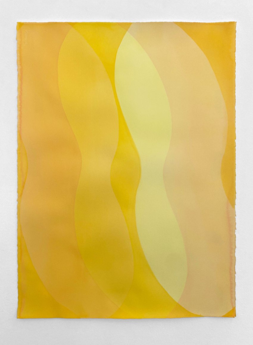 Emily Kiacz, Fluxes V, 2022