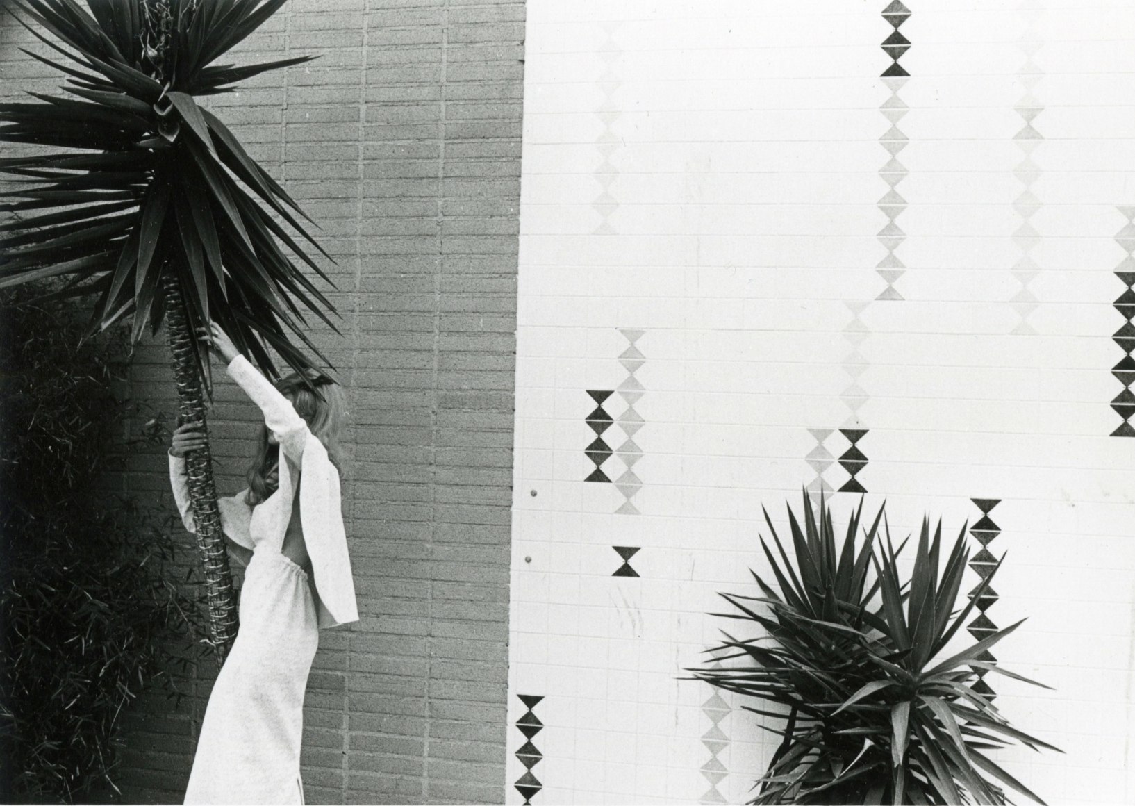 untitled (from the Los Angeles series), 1972