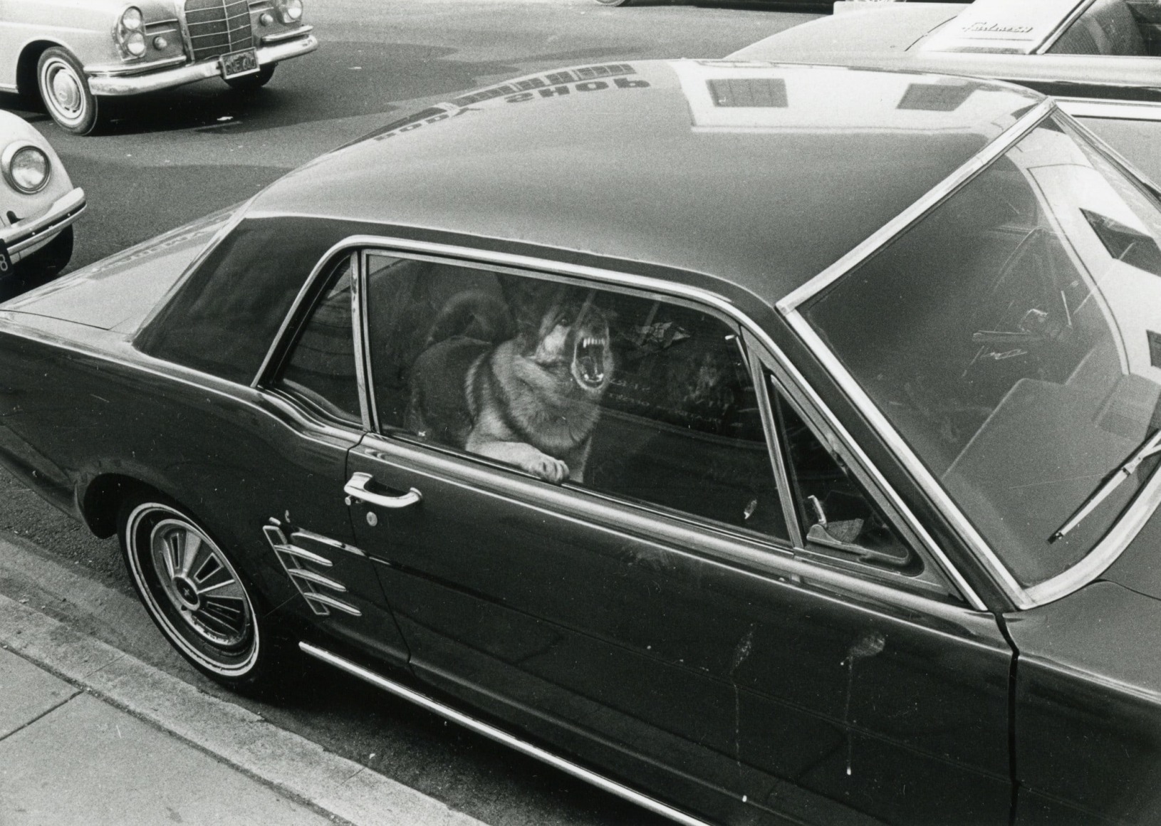 untitled (from the Los Angeles series), 1971