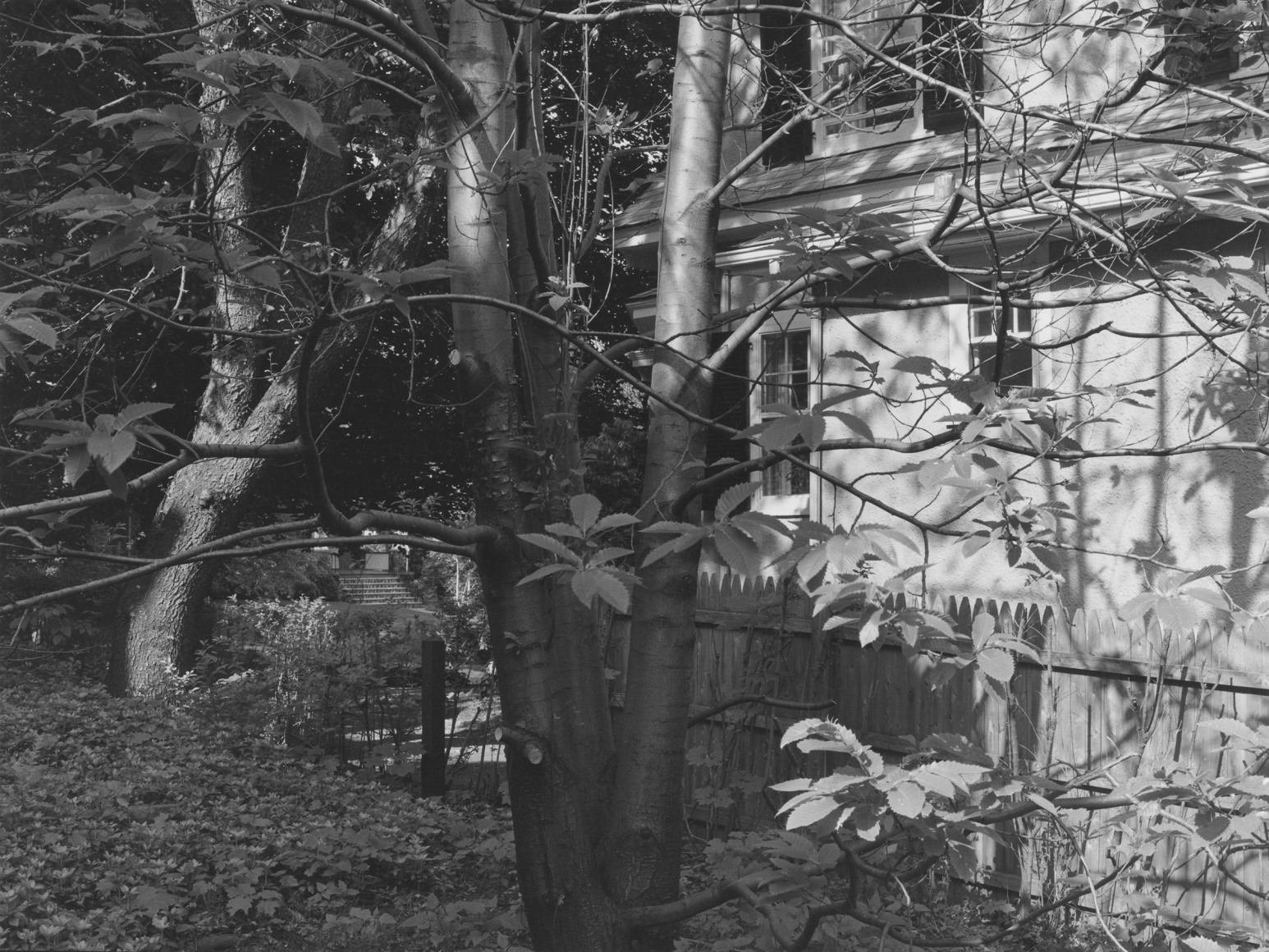 Montclair, NJ, 1982
