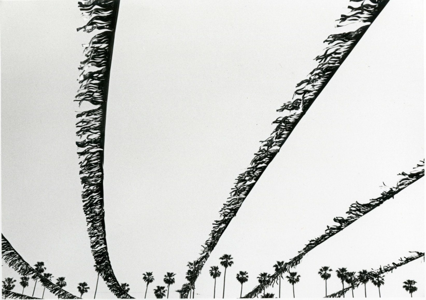untitled (from the Los Angeles series), 1971 