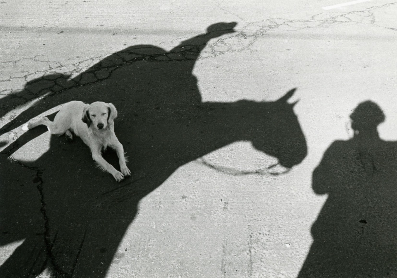 untitled (from the Los Angeles series), 1970/80's 
