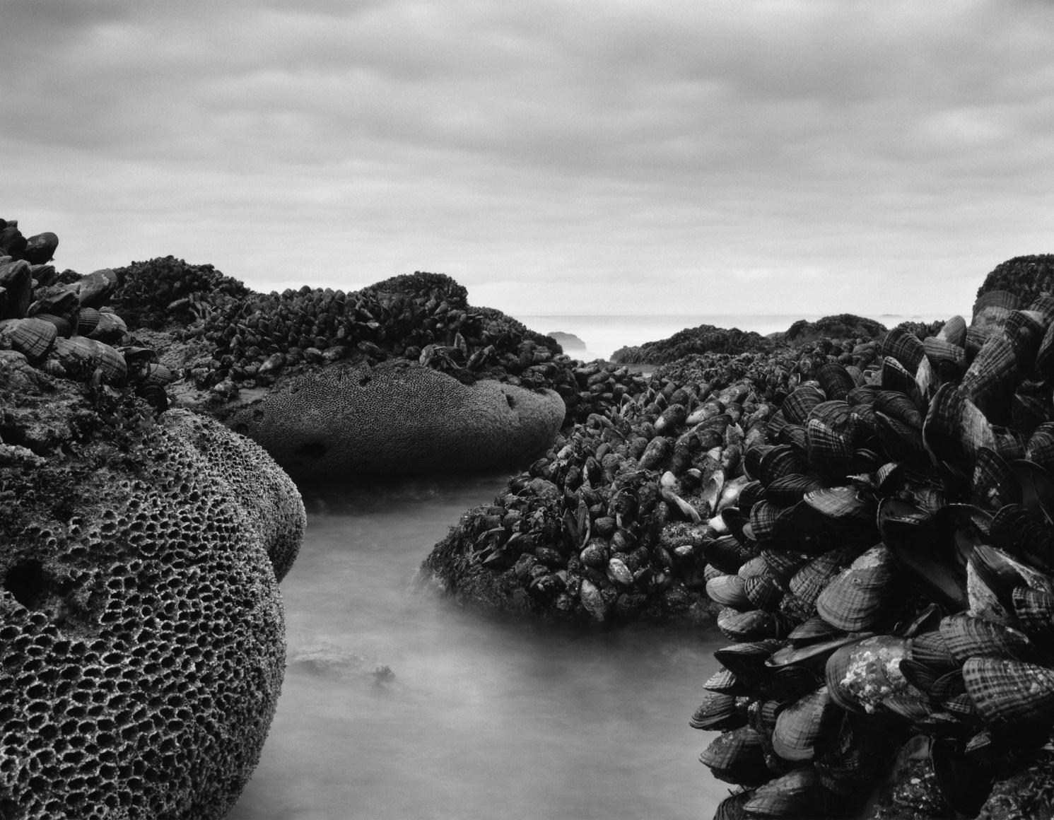 The Tides of El Matador No. 13, 2011