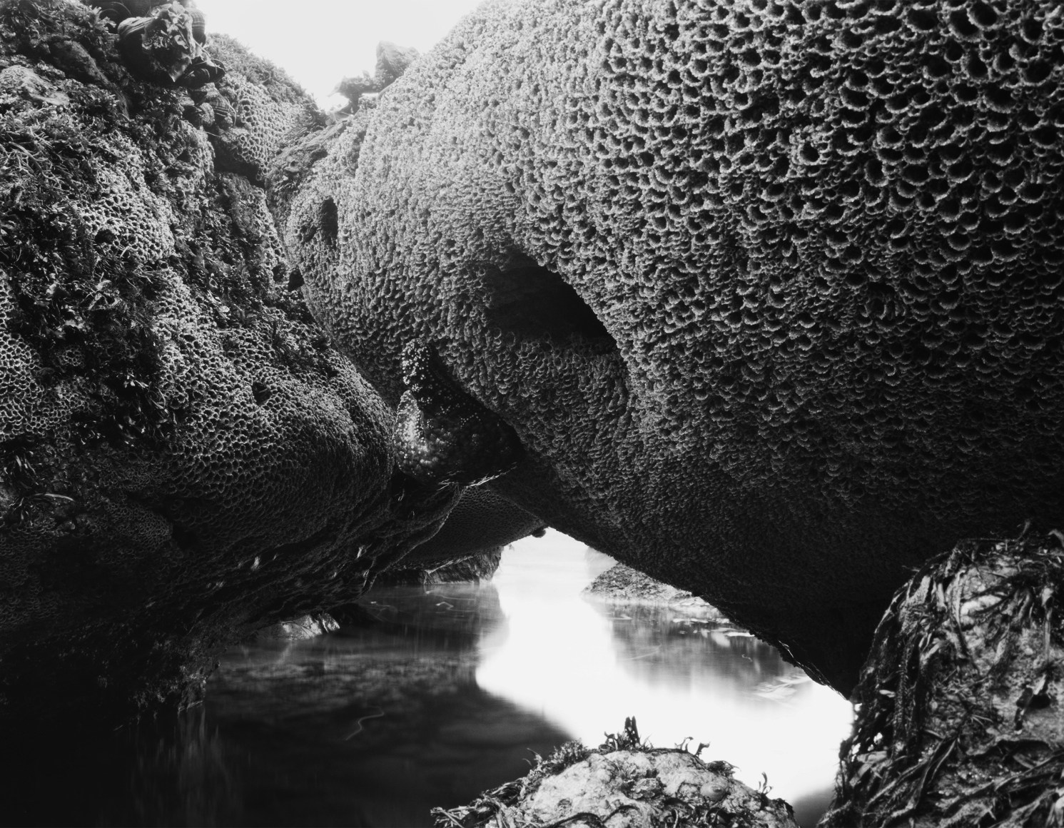 The Tides of El Matador No. , 2011