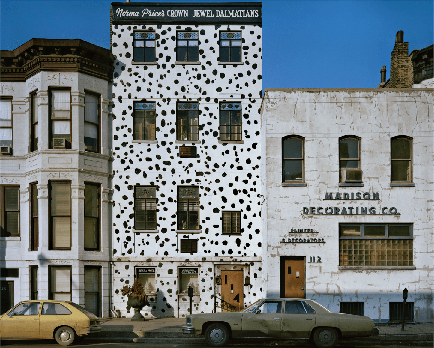 Dalmations, Chicago, 1976, digital chromogenic print