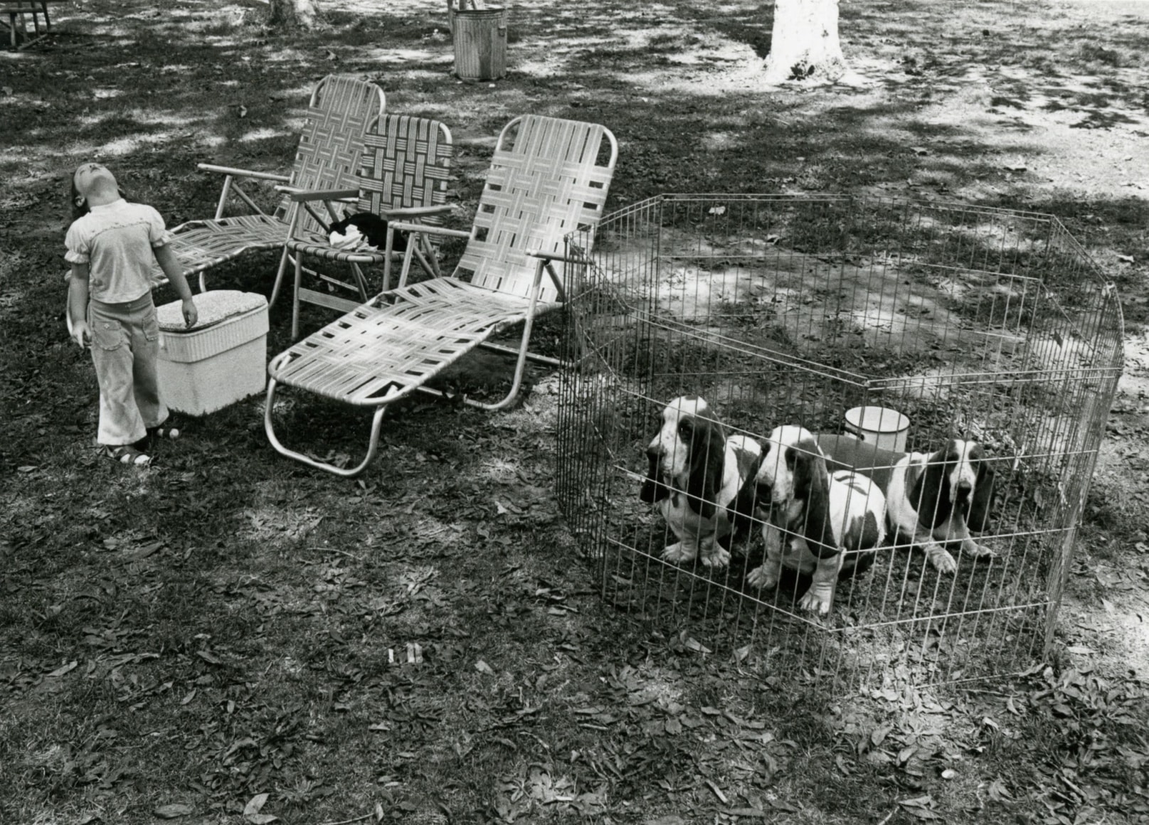 untitled (from the Los Angeles series), 1970/80's 