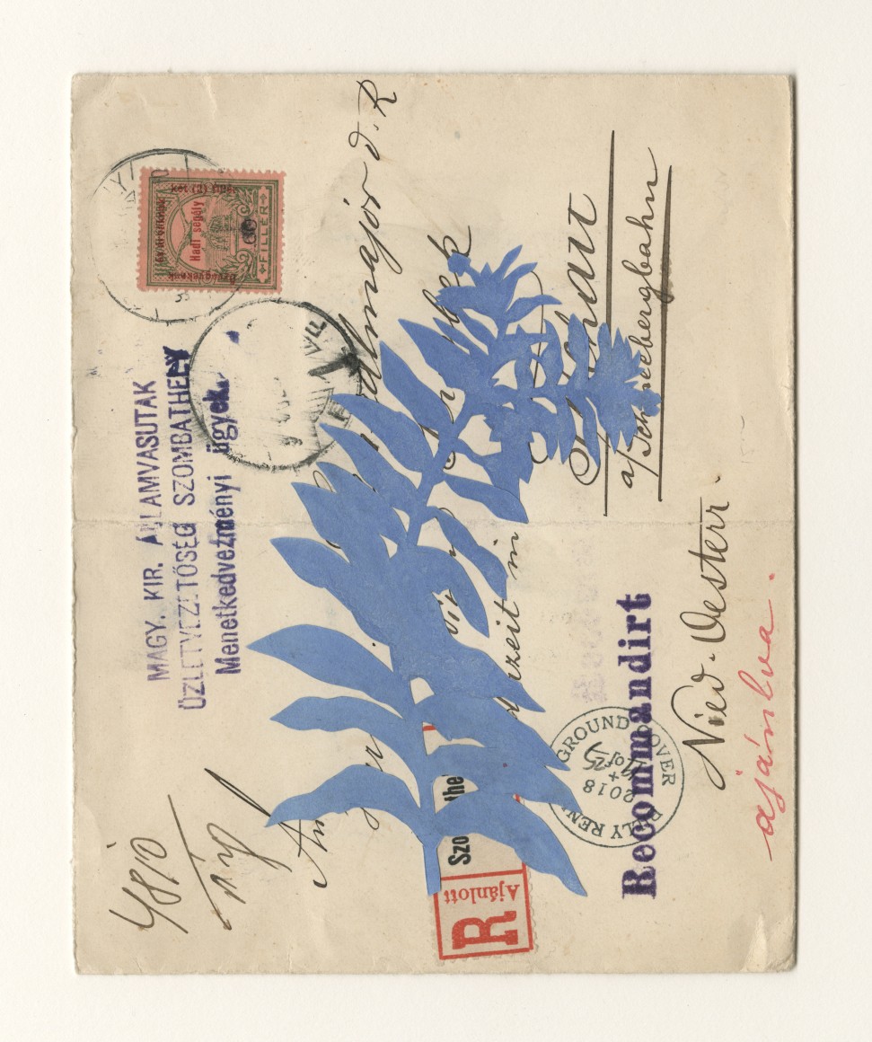 Groundcover #19: Szombathely, Hungary