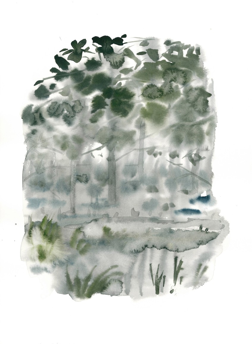 Szilard Huszank, IL A Nr1, 2013