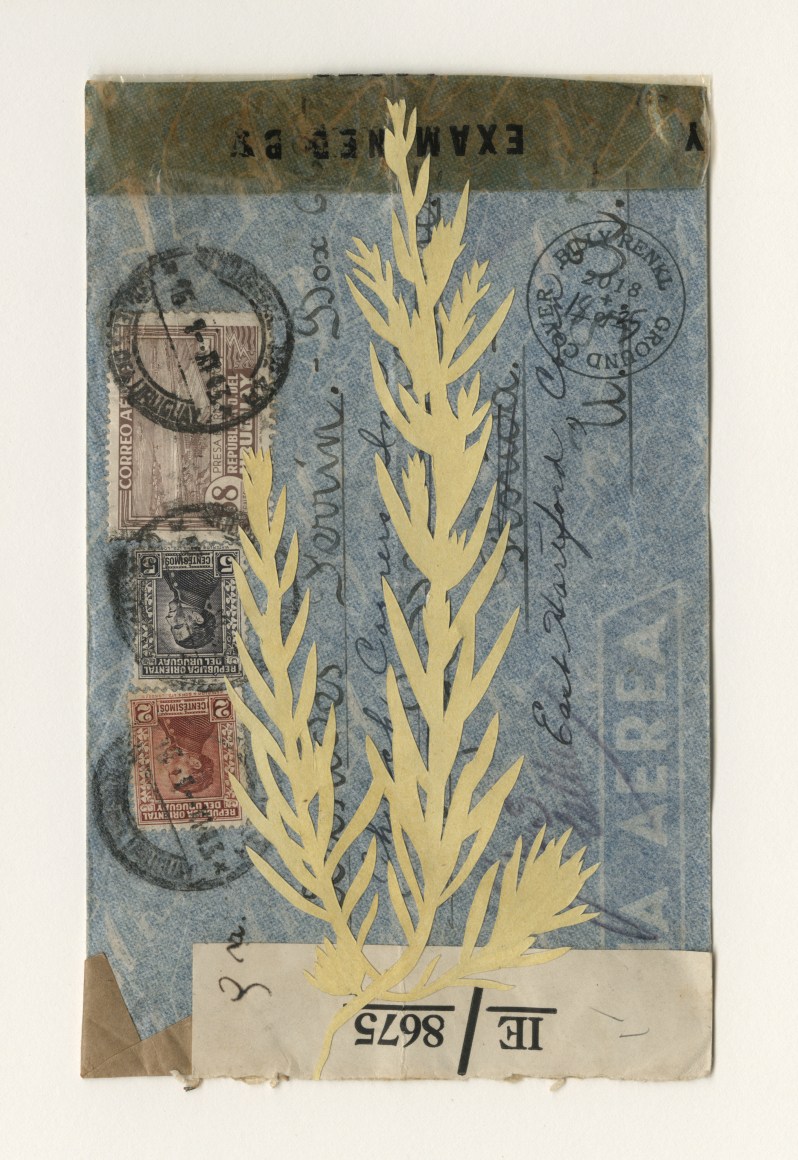 Groundcover #18: Uraguay to the United States, 1943