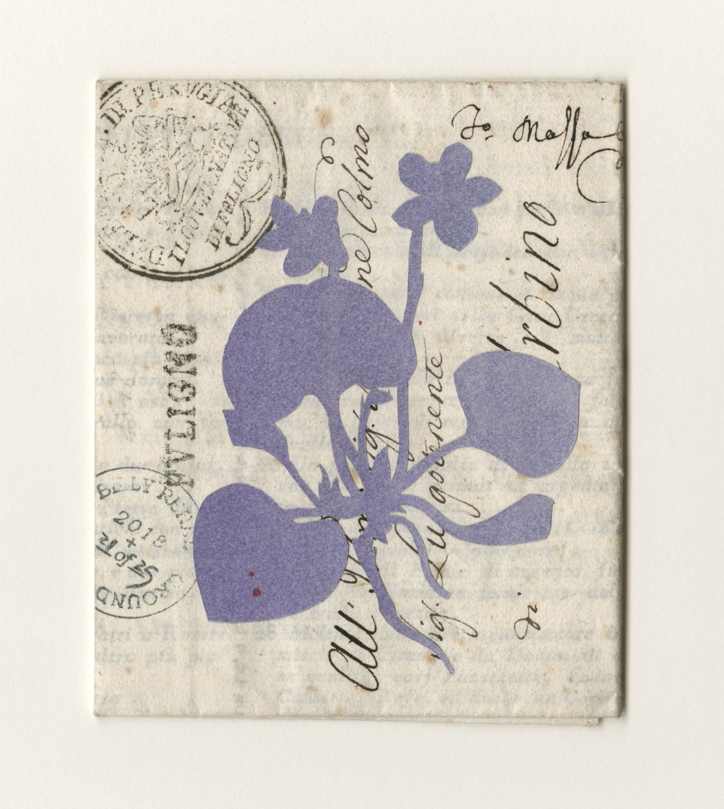 Groundcover #21: Italy, 1818