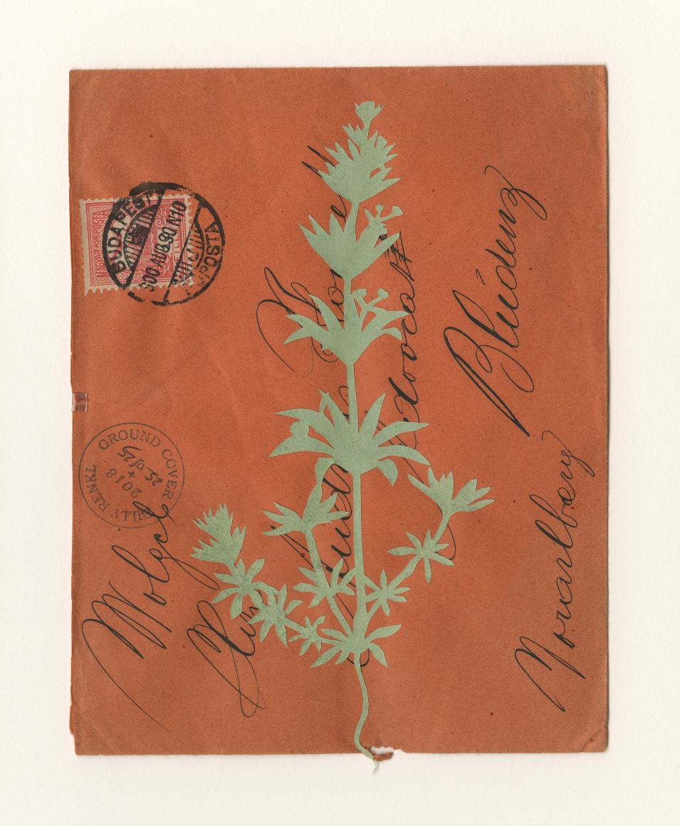 Groundcover #25: Hungary to Austria, 1900