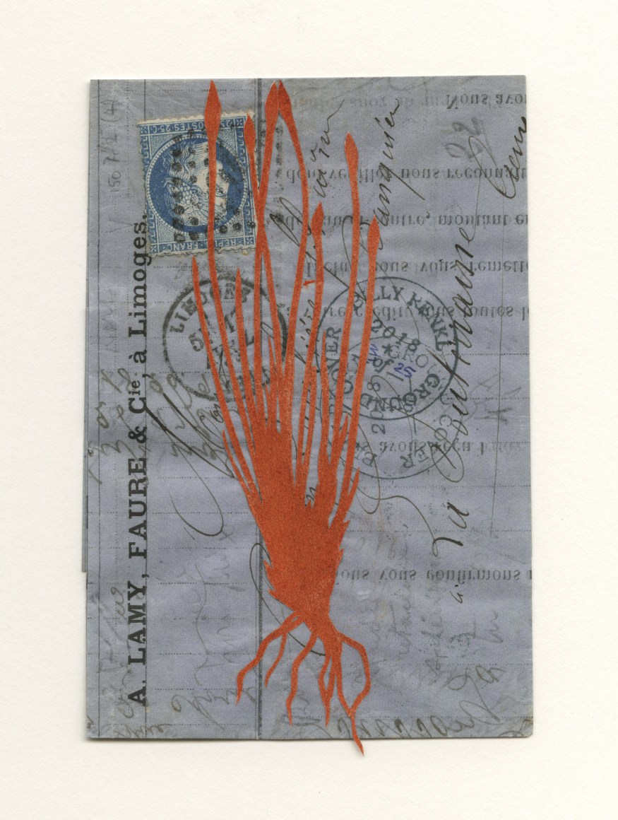 Groundcover #3: France, Limoges to La Souterraine, 1872