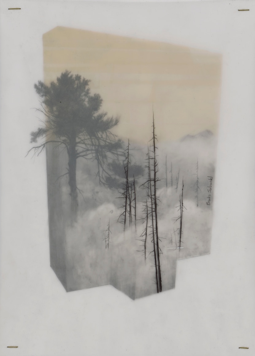 Brooks Shane Salzwedel
