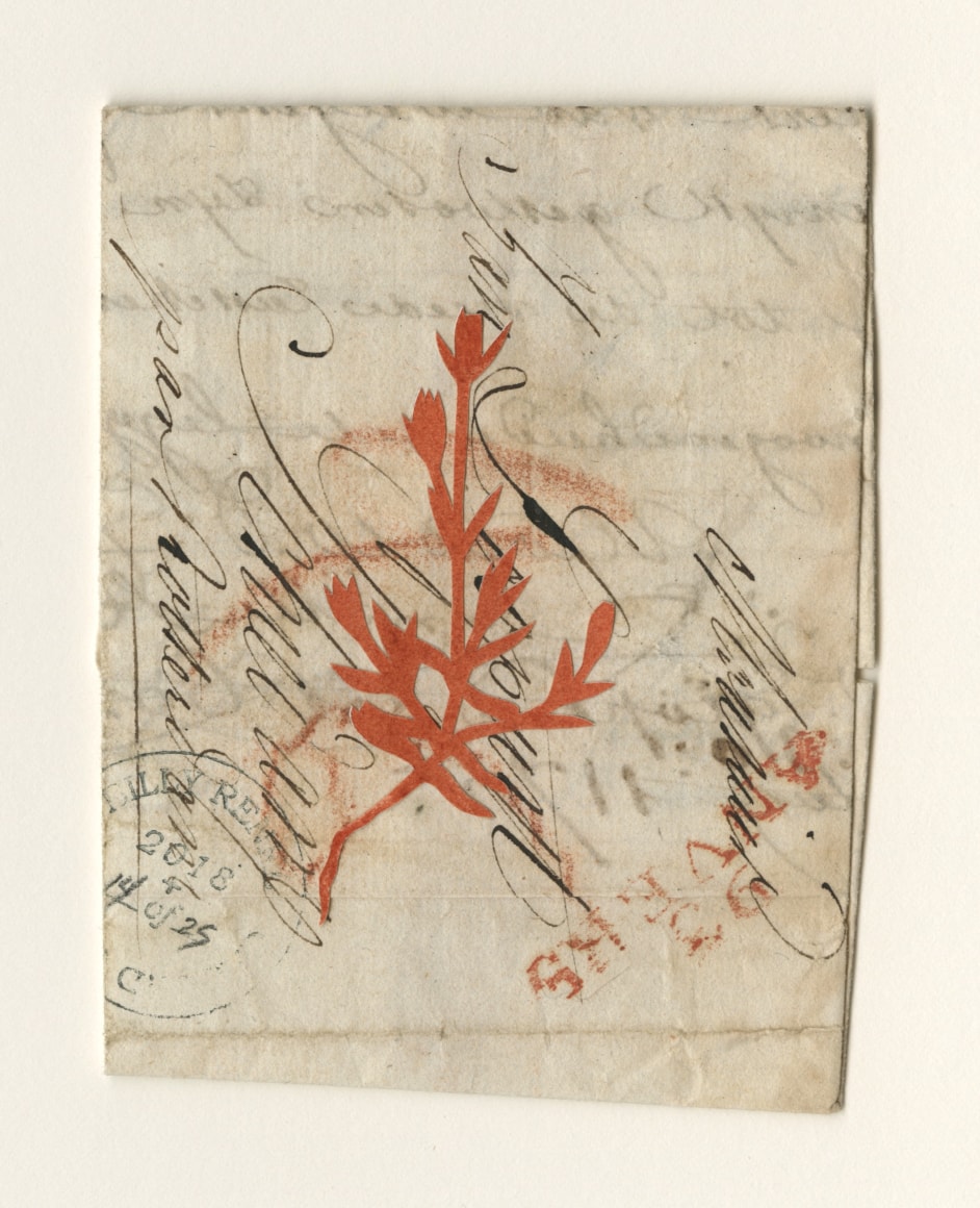 Groundcover #14: Belgium, 1809