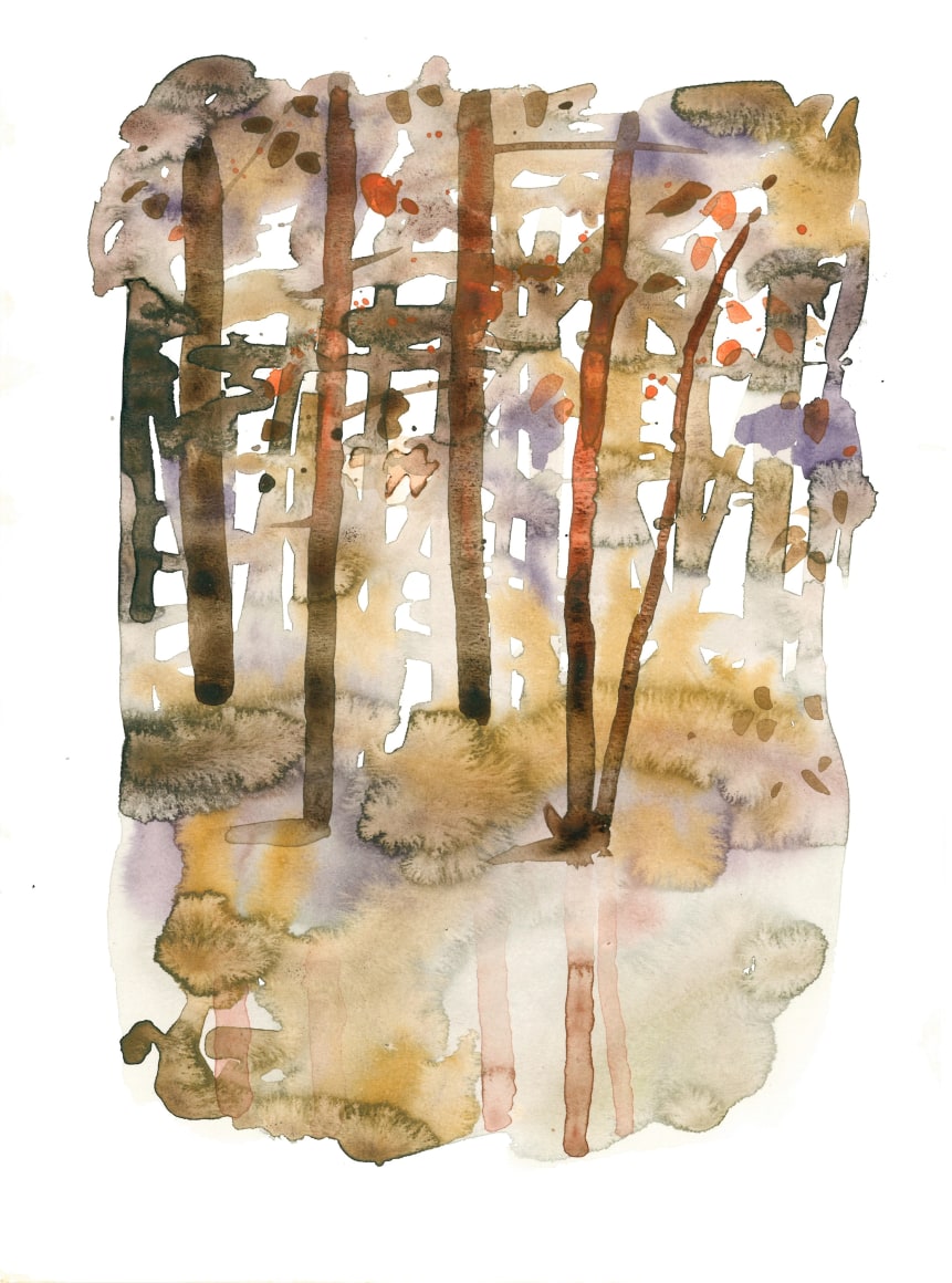 Szilard Huszank, IL A Nr17, 2013