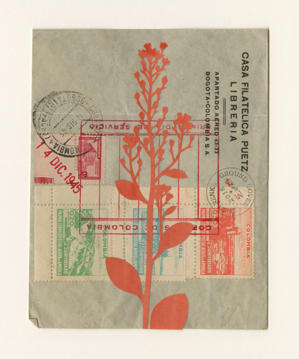 Groundcover #5: Columbia, 1945