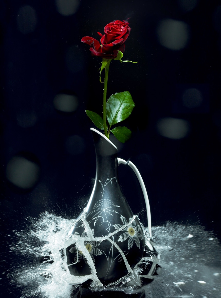 Цветок сосуд с водой. Хрупкий цветок. Разбитые вазы. Цветы в разбитой вазе. Разбитая стеклянная ваза.