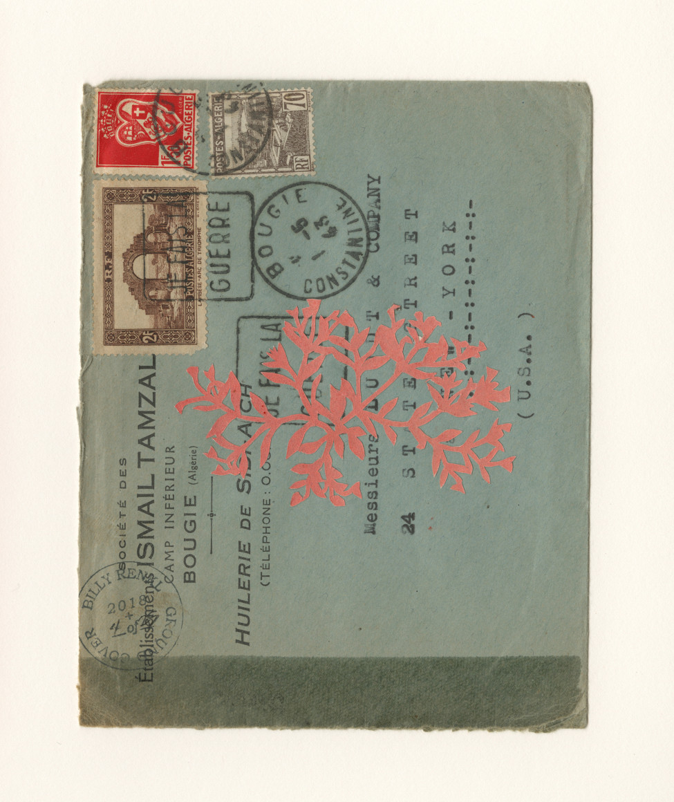 Groundcover #4: Algeria to New York, 1963