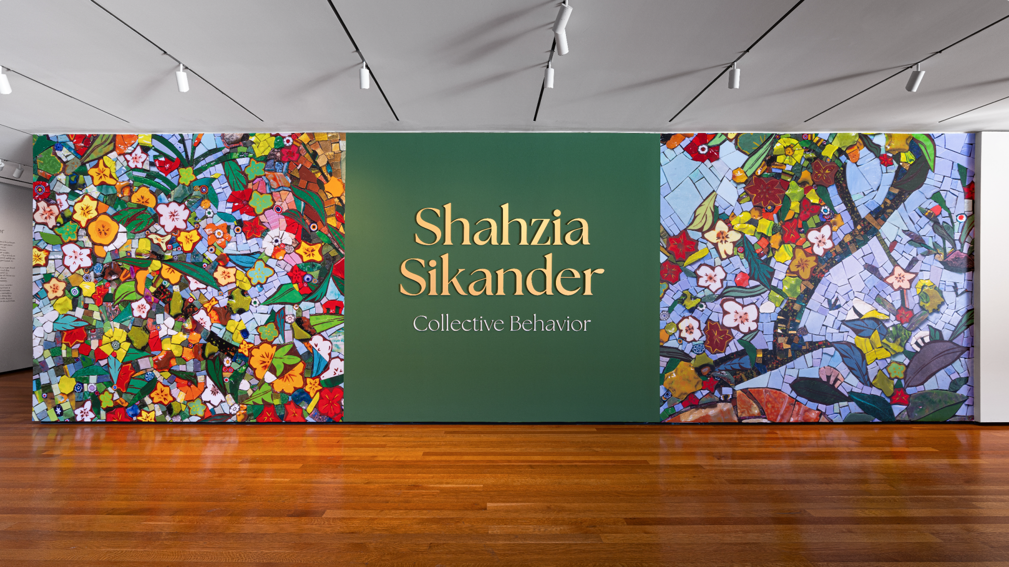 Images courtesy of Phil Armstrong