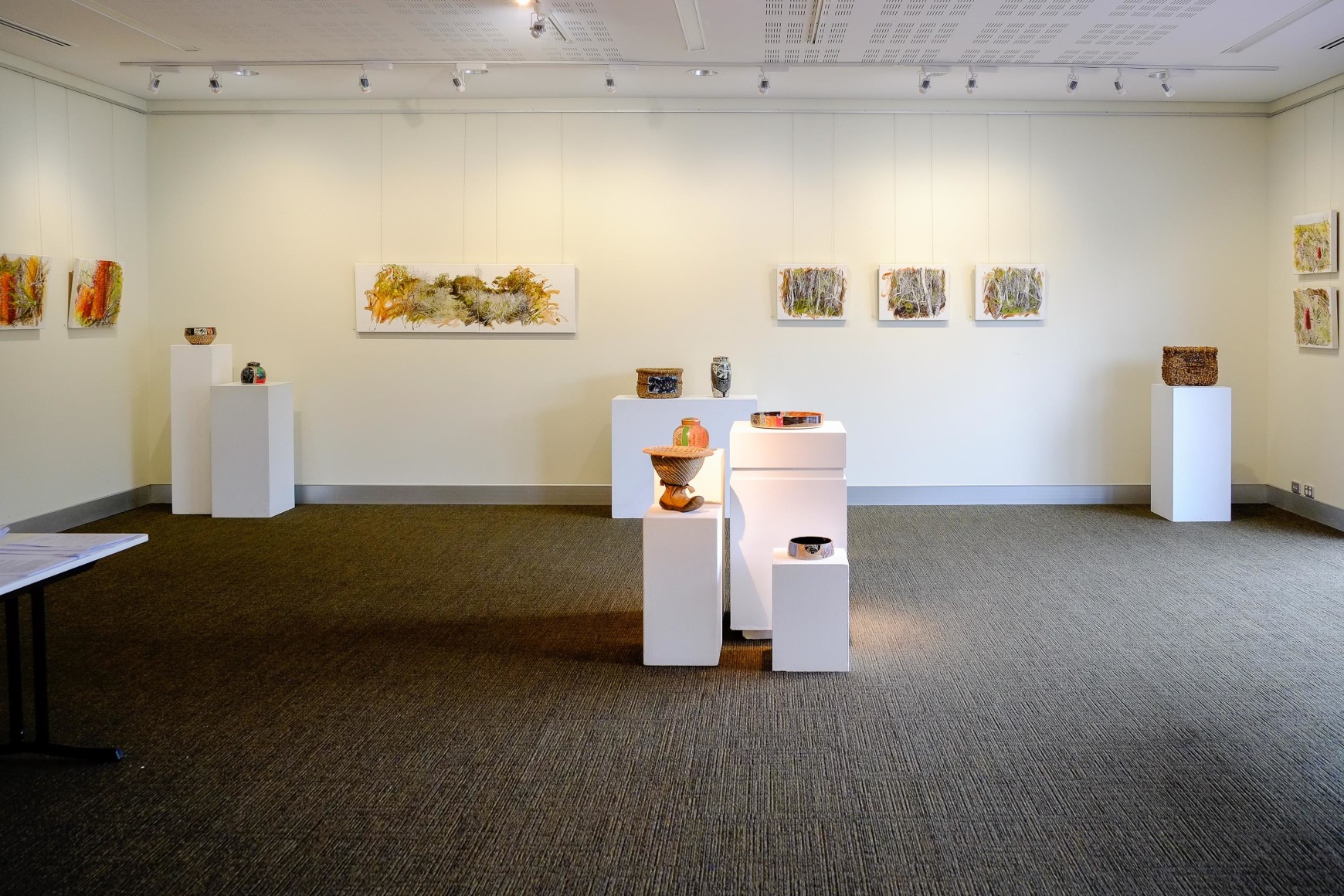Bundjalung Heathland Installation View 2016 Lone Goat Gallery