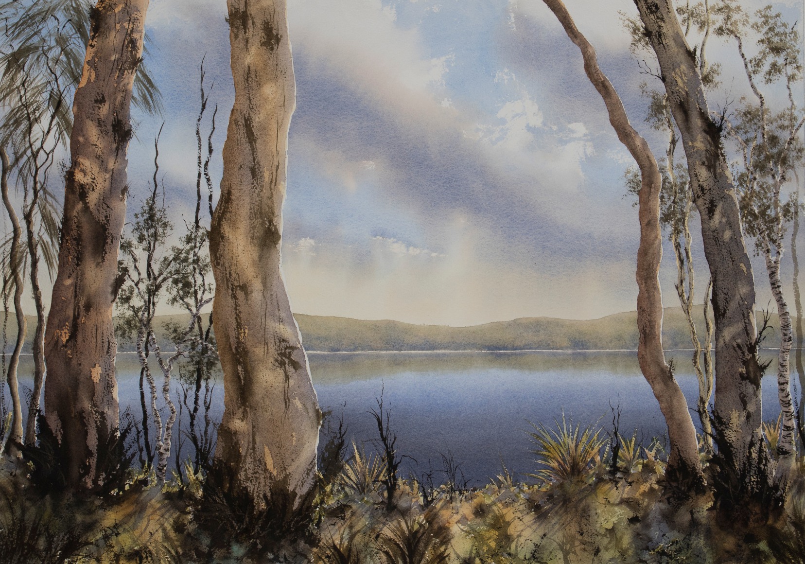 lone goat gallery Dave Sparkes