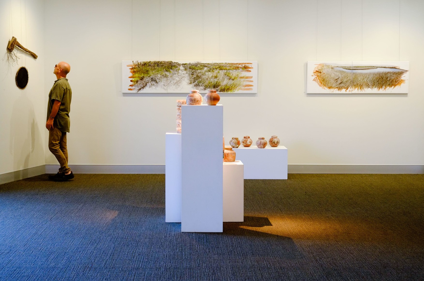Bundjalung Heathland  Installation View  2016 Lone Goat Gallery