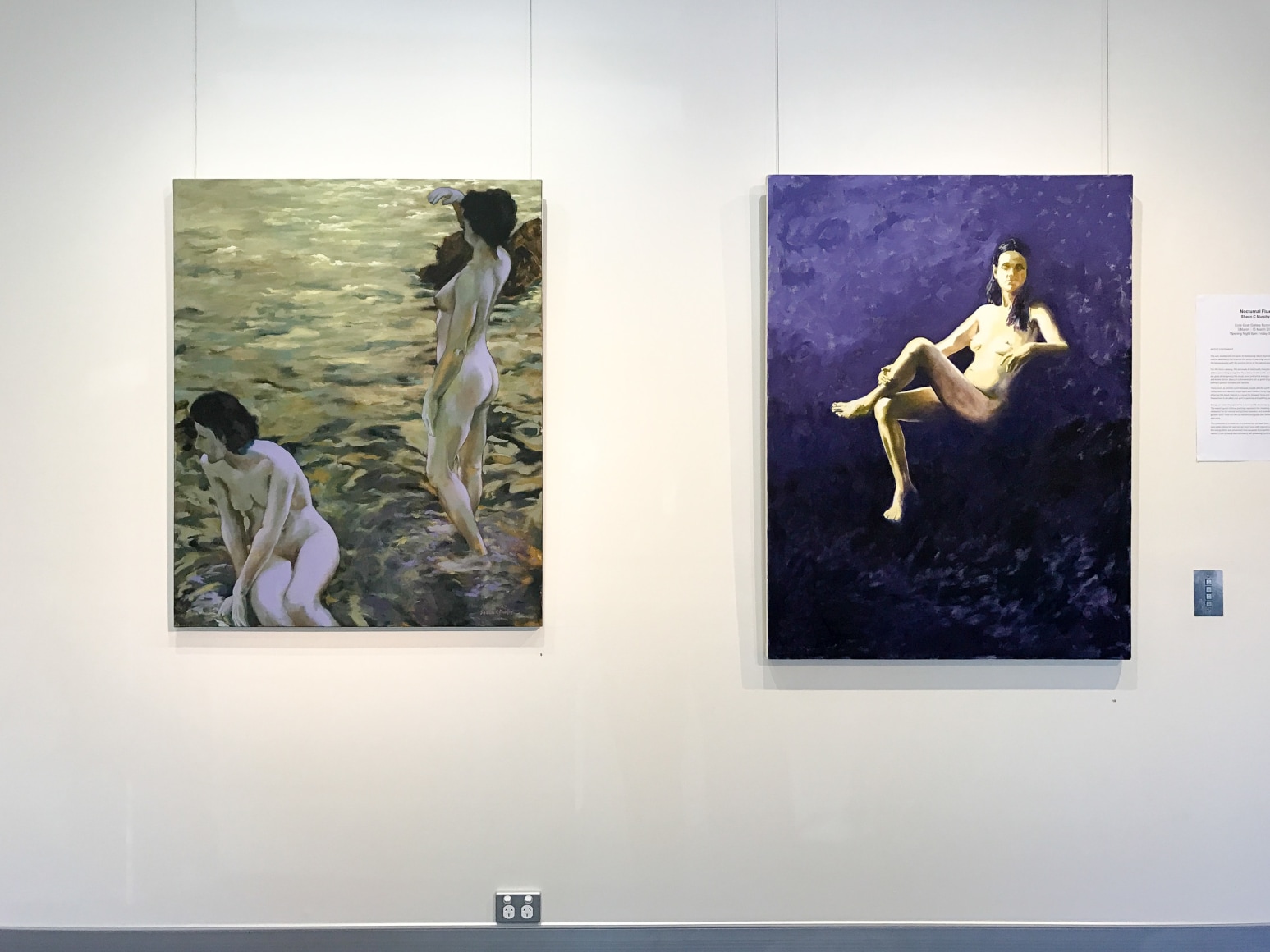 Shaun C. Murphy Nocturnal Flux exhibtion  Installation View 2017 Lone Goat gallery