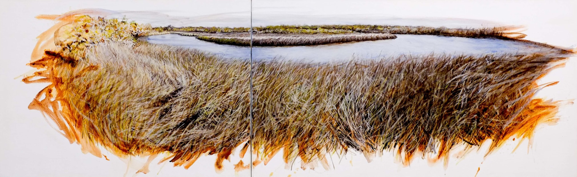 Christine James Bundjalung Heathland 2016