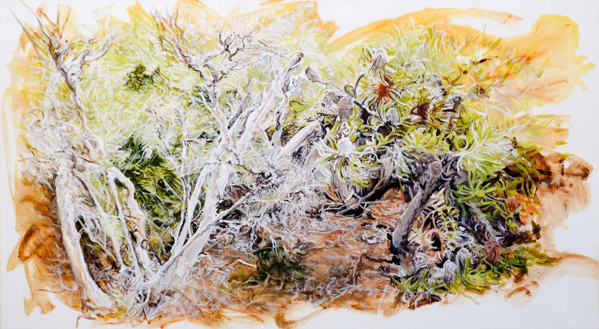 Christine James Bundjalung Heathland 2016