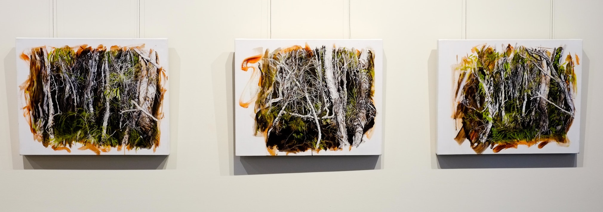 Bundjalung Heathland Installation View 2016 Lone Goat Gallery