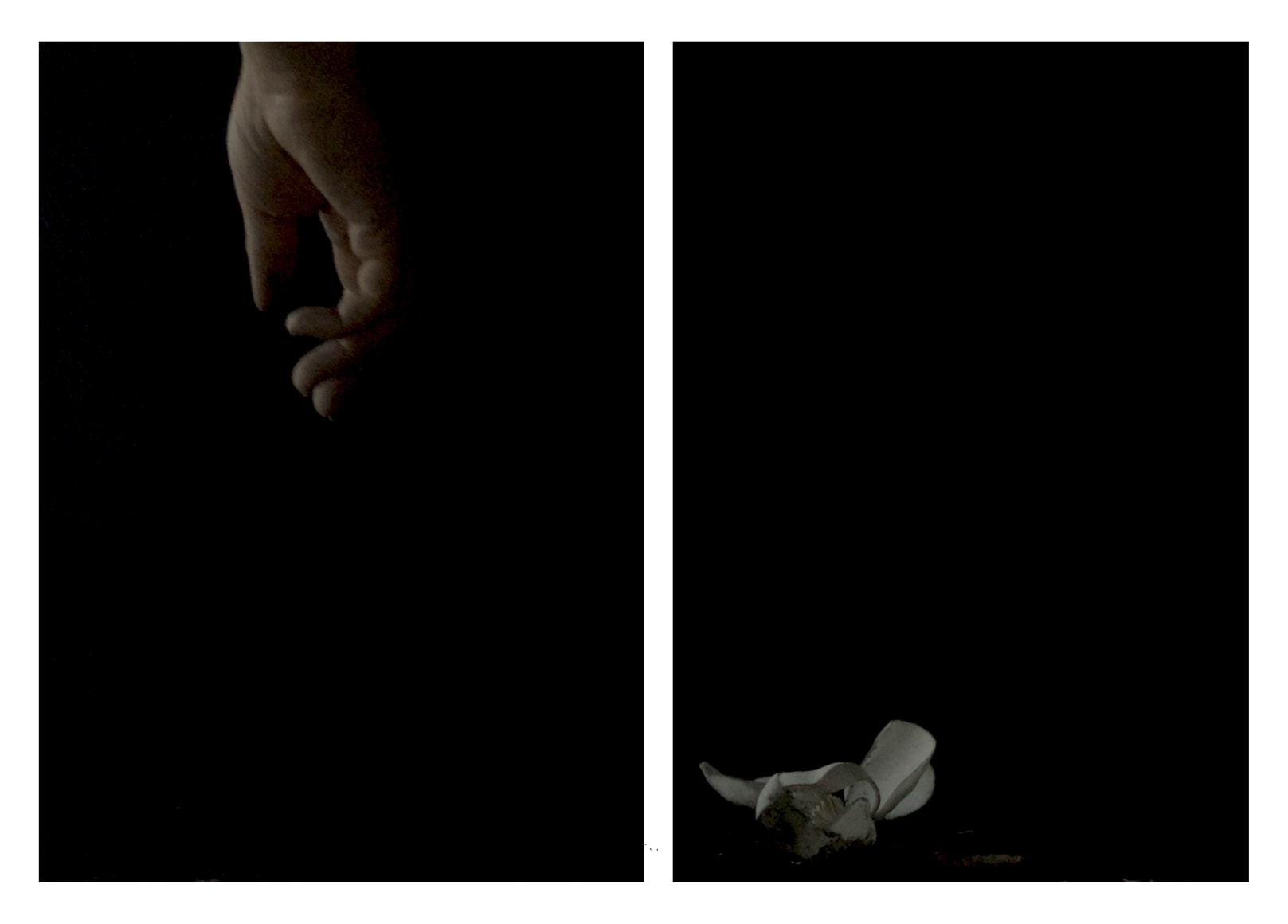 Convergent