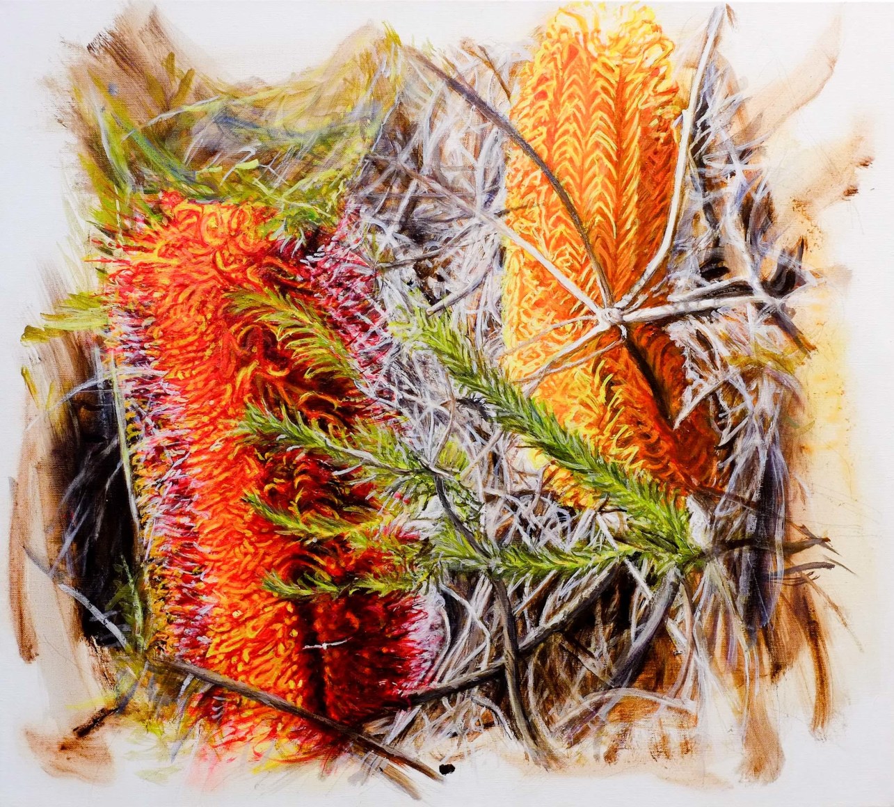 Christine James Bundjalung Heathland 2016