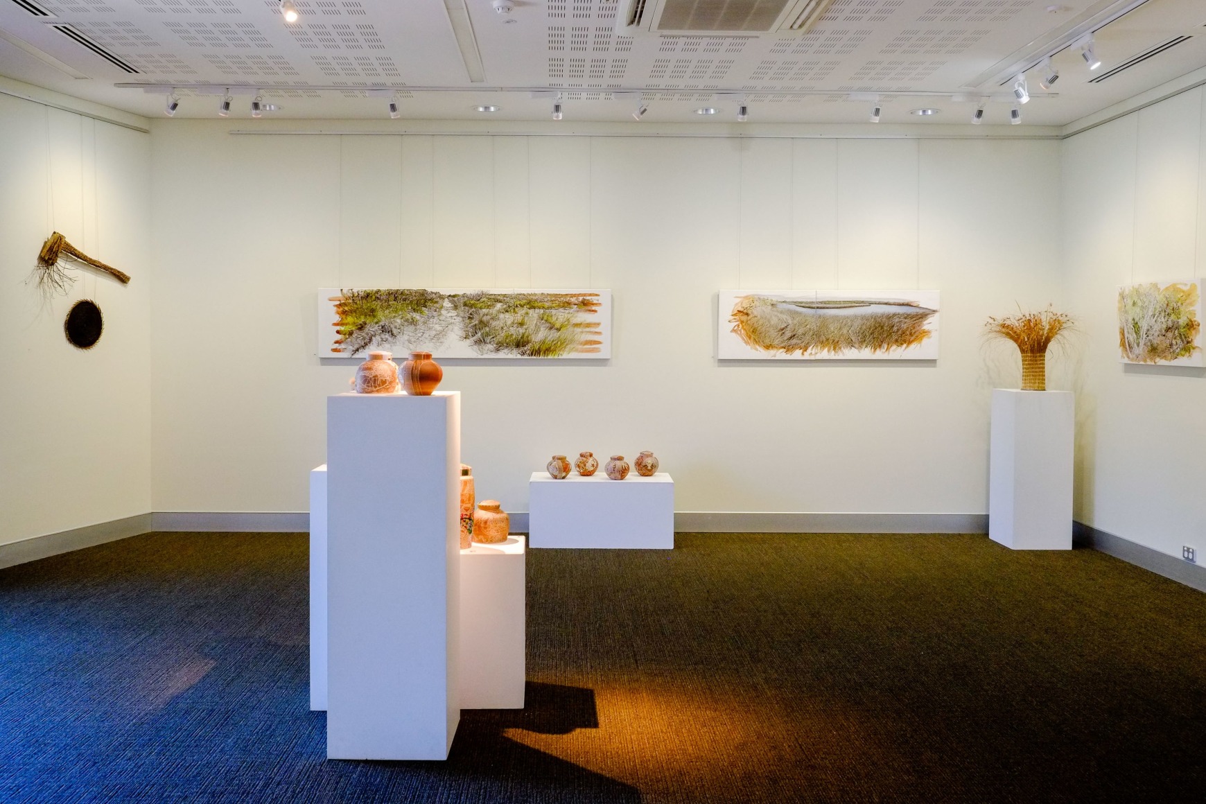 Bundjalung Heathland  Installation View  2016 Lone Goat Gallery