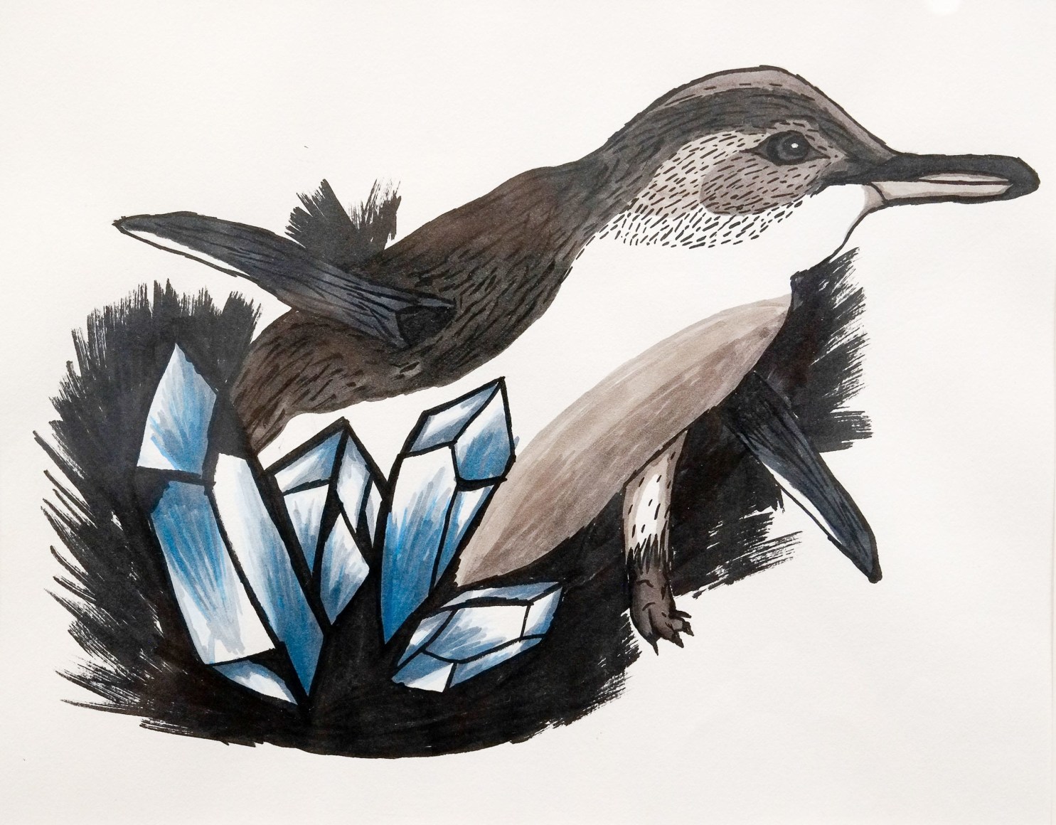 Emily Nobbs  Crystal Clear coloured marker on paper 43.5 cm x 40 cm 2018