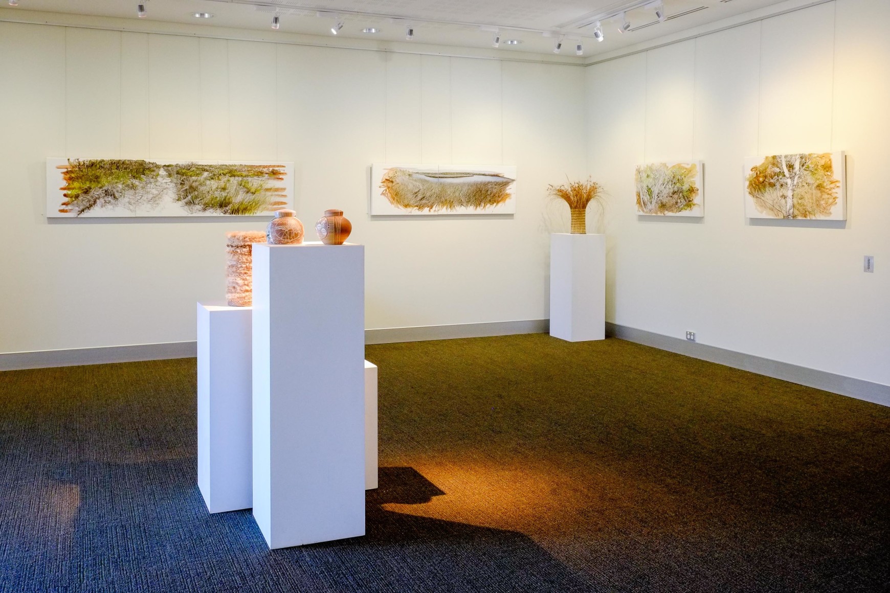 Bundjalung Heathland  Installation View  2016 Lone Goat Gallery