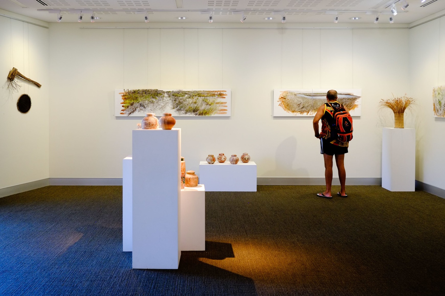Bundjalung Heathland  Installation View  2016 Lone Goat Gallery