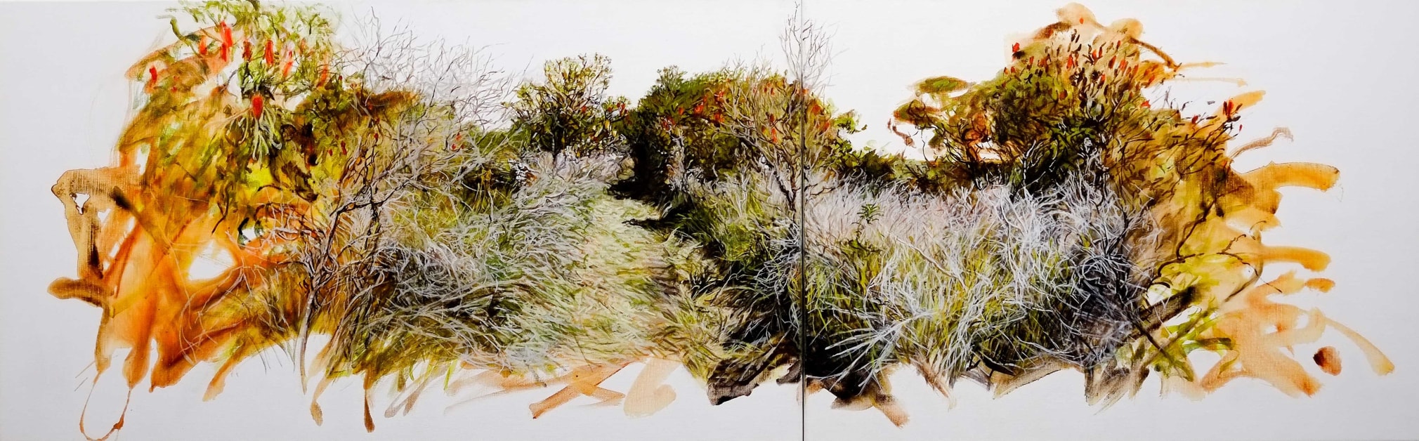 Christine James Bundjalung Heathland 2016
